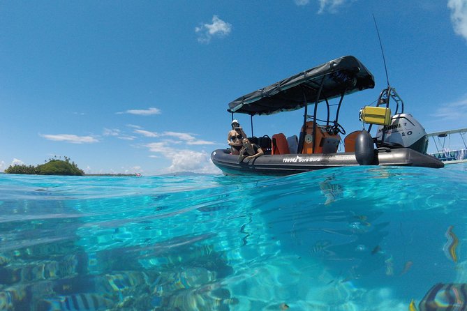 Whale Watching Tours in Bora Bora - Who should book this Bora Bora whale tour