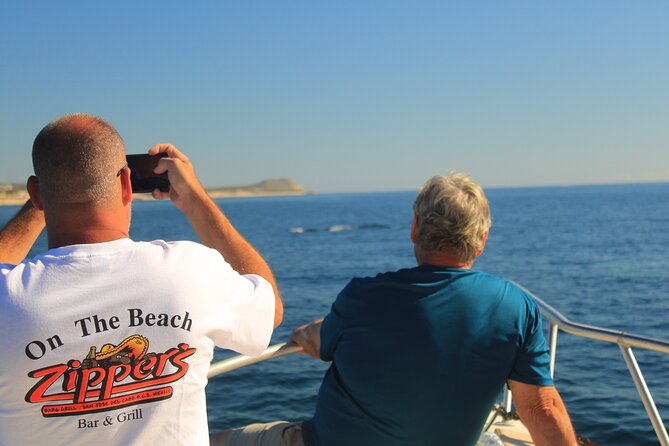 Whale Watching Warranty in San José del Cabo Snacks and drinks - Why the small boat makes a difference