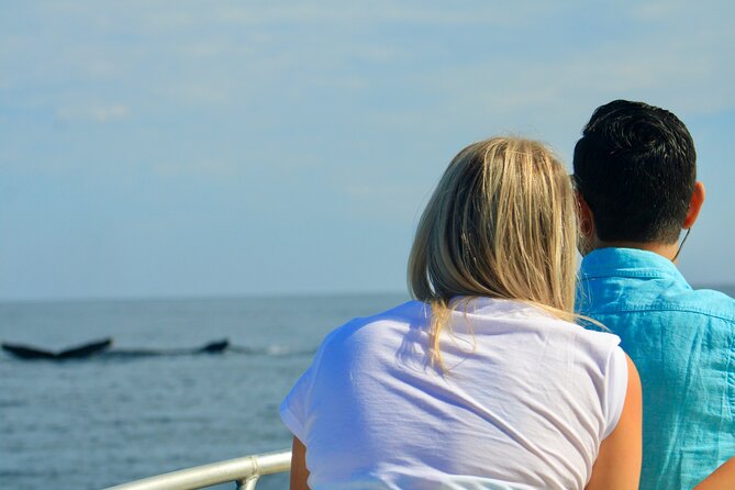 Whale Watching Warranty in San José del Cabo Snacks and drinks - Who should book this San José del Cabo whale tour?