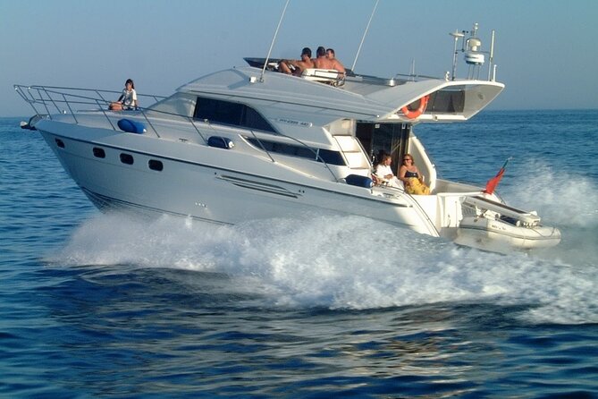 Whales and Dolphins excursion on a Luxury Yacht in Canary Islands - Food, drinks, and the onboard atmosphere