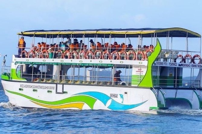 Whales and Dolphins Watching-Luxury Super Grade Cruiser(Hotel Pick up offered) - What the Cruiser Offers at Sea