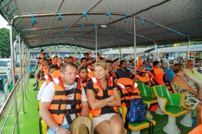 Whales and Dolphins Watching-Luxury Super Grade Cruiser(Hotel Pick up offered)