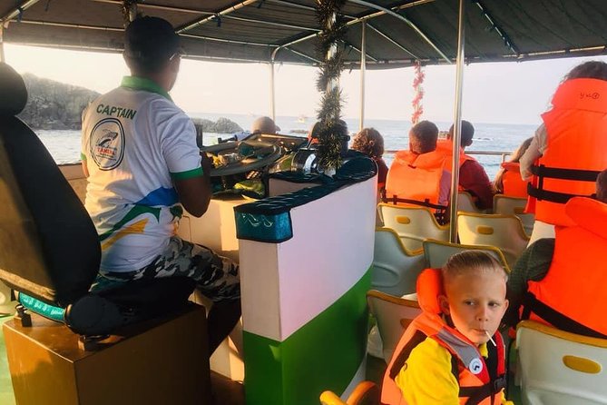 Whales and Dolphins Watching-Luxury Super Grade Cruiser(Hotel Pick up offered) - How the Four-Hour Promise Works in Practice