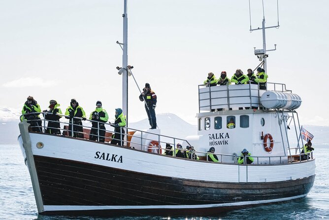 Whales and Puffins Tour from Husavik - Weather, cancellations, and a smart booking plan