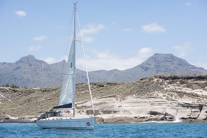 Whales & Dolphins watching in exclusive sailboat - Meeting the skippers and crew