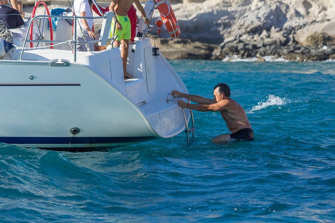 Whales & Dolphins watching in exclusive sailboat - Sailing, or sometimes motoring