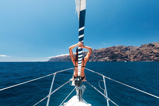 Whales & Dolphins watching in exclusive sailboat - A three-hour search for whales and dolphins