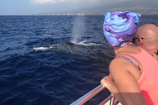 WHALES GUARANTEED Maui Whale Watching Makai Adventures - Key points to know before booking