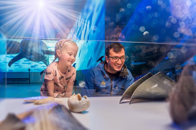 Whales Of Iceland Admission Ticket - The 11:00 and 15:00 tours add useful context