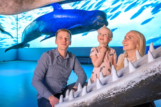 Whales Of Iceland Admission Ticket - Is $34.84 good value?