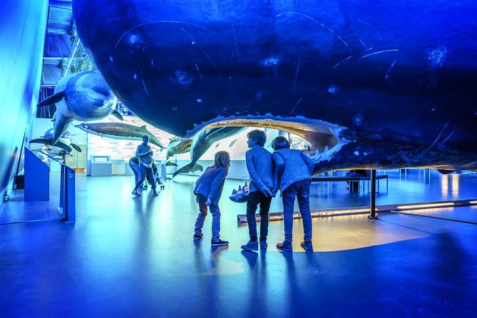 Whales Of Iceland Admission Ticket - Audio guides, whale sounds, and hands-on learning