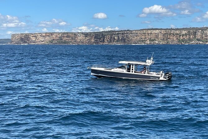 Whales of Sydney Sea Safari - Family Comfort, Swimming, and What to Bring