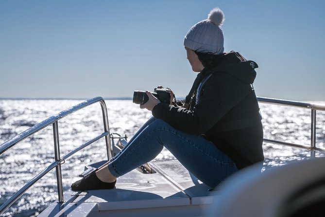 Whales of Sydney Sea Safari - Weather Matters More Than on a Harbor Cruise