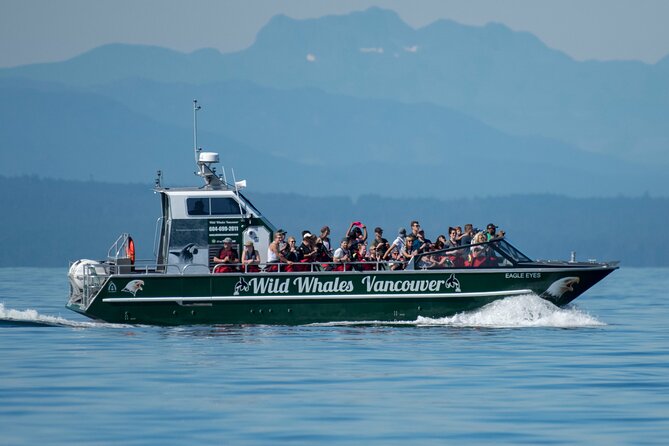 Wild Whale Watching Experience - Open Air Vessel - What Eagle Eyes feels like on the water
