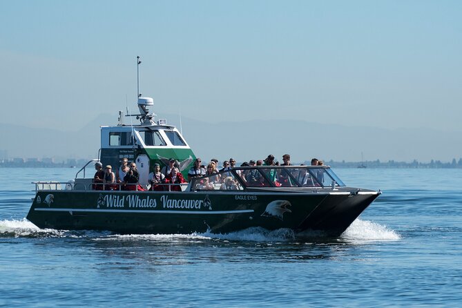 Wild Whale Watching Experience - Open Air Vessel - Price, group size, and overall value