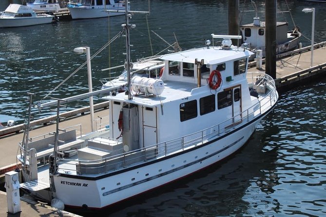 Wildlife Viewing, Sightseeing and Whale Watching Quest - Metlakatla Island and Walden Rocks