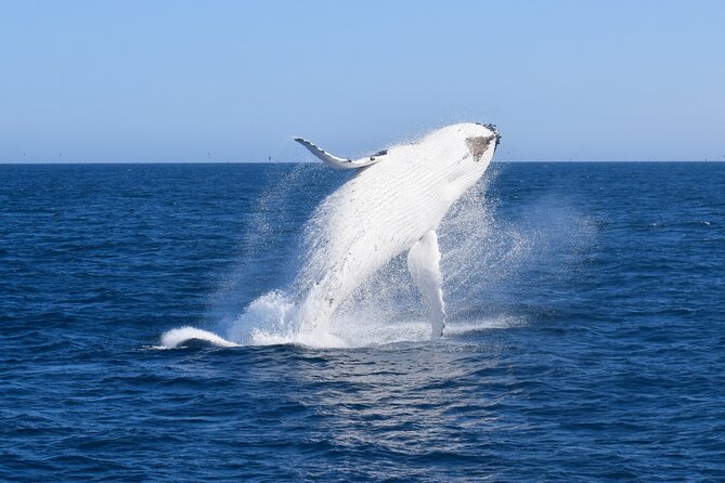 Wilsons Prom Whale Cruise - Watching Wilsons Promontory from the water