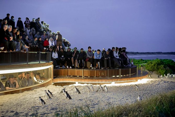 Wilsons Prom Whale Cruise - Who will enjoy this cruise most?