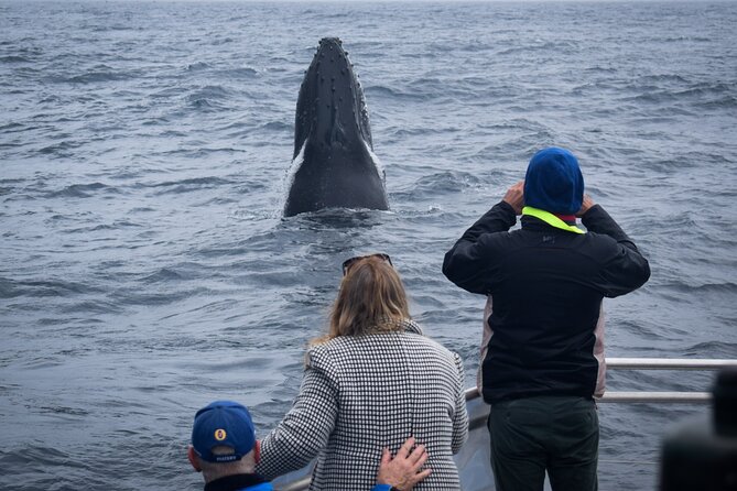 Wilsons Prom Whale Cruise - Practical advice for a smoother day