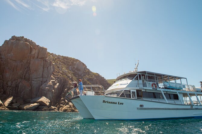Wilsons Prom Whale Cruise - The search for humpback whales and calves