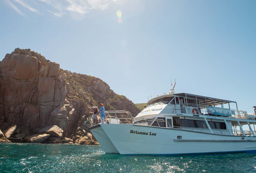 Wilsons Promontory: Whale Spotting Cruise with Lunch - Who should book this cruise?