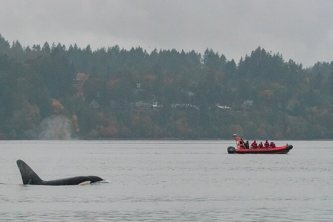 Winter Victoria Whale and Wildlife Zodiac Tour - Getting ready in a full flotation cruiser suit