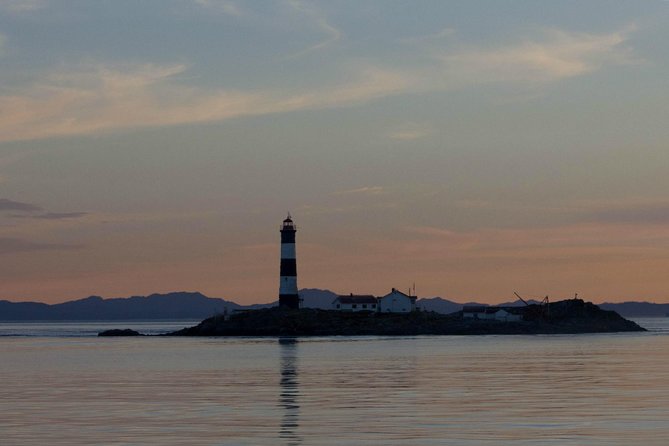 Winter Victoria Whale and Wildlife Zodiac Tour - Sea lions, seals, otters, and coastal birds