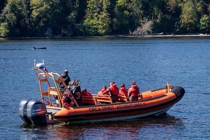 Winter Victoria Whale and Wildlife Zodiac Tour - Who will enjoy this tour most?