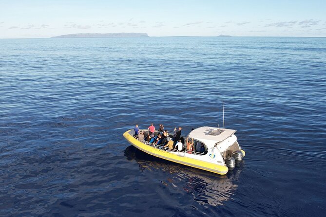 Winter Whale Watching Adventure in Kauai - Searching for humpbacks off Kauai