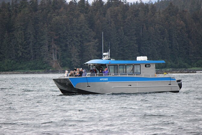 Wonderful Whales and Wildlife Tour - Key points to know before you book