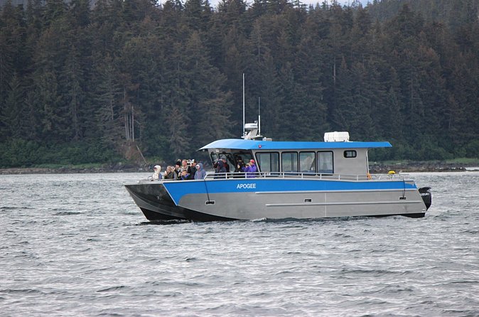 Wonderful Whales and Wildlife Tour - The five-minute ride to Hoonah
