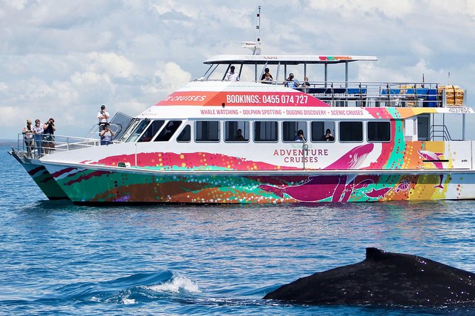 World class Whale Watching from Hervey Bay - Commentary on whales, Fraser Island, and the coast