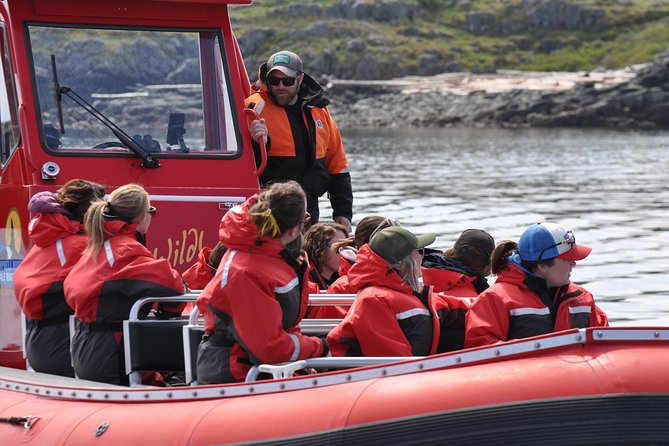 Zodiac Boat Whale and Wildlife 6-Hour Tour from Campbell River - Who will enjoy this boat trip most
