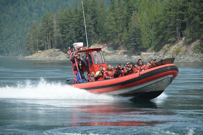 Zodiac Boat Whale and Wildlife 7-8-Hour Tour from Campbell River - Why the full day from Campbell River matters