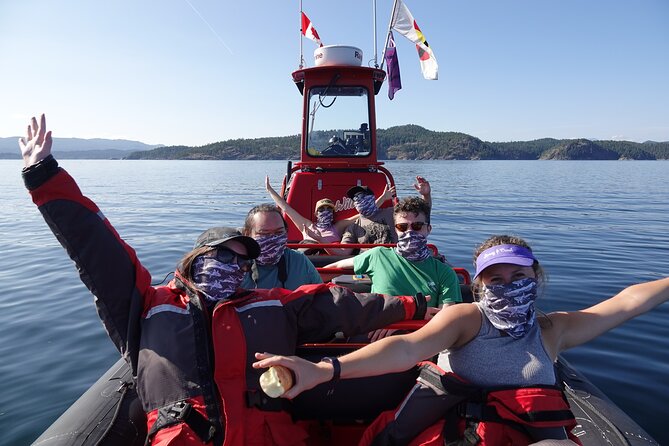 Zodiac Boat Whale and Wildlife 7-8-Hour Tour from Campbell River - What you might see across the coastal route