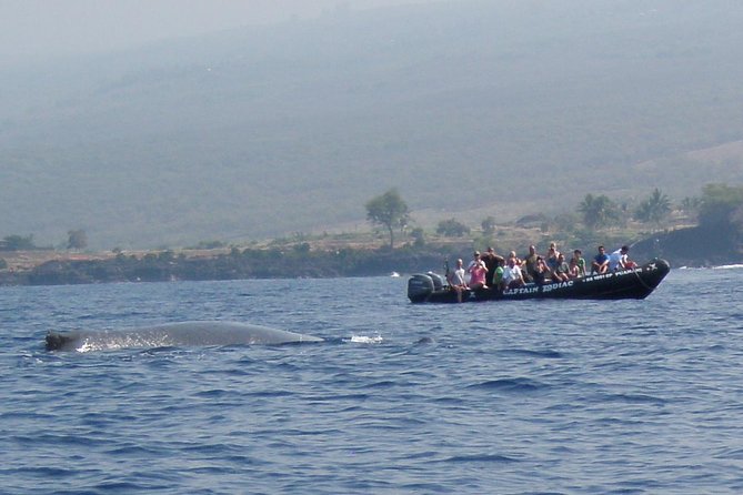 Zodiac Raft Whale Watching Adventure - Hearing whales through the hydrophone