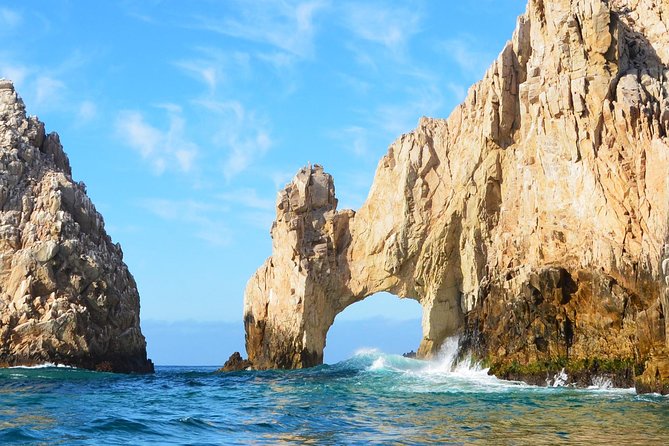 ZODIAC Whale Watch Tour | Cabo San Lucas | Biologist | FREE Pics - Other wildlife you may see along the way