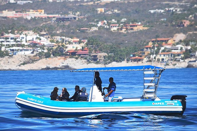 ZODIAC Whale Watch Tour | Cabo San Lucas | Biologist | FREE Pics - Leaving the marina for El Arco and Lovers Beach